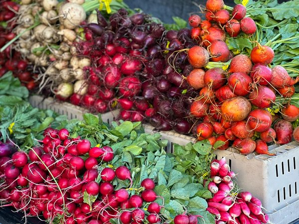 Unlocking Profit Potential: The Role of Menu Engineering in Elevating Theme Restaurant Success